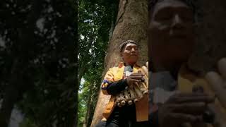 Heulang/ Lagu Terbaru H. Yayan Jatnika @yayanjatnikachannel