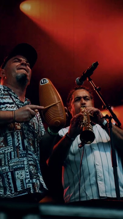 festival afro belgique