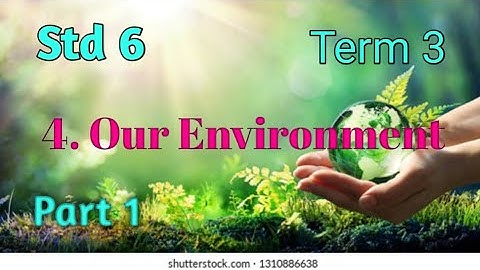 Std 6/ Science/ Term 3/ Unit 4/ Our Environment/ Part 1 @teacherswaves5033