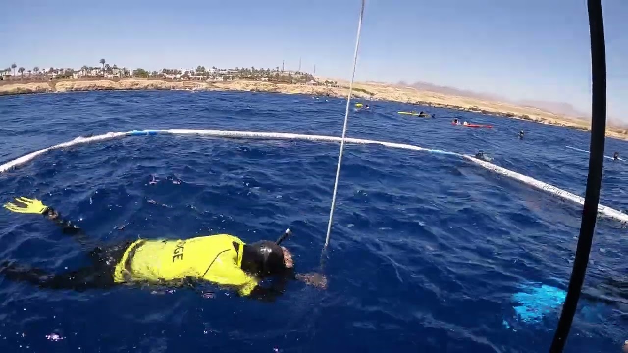 Zen Monk Kosho Loïc Vuillemin | Swiss National Record FIM 90m  Freediving World Cup May 2024