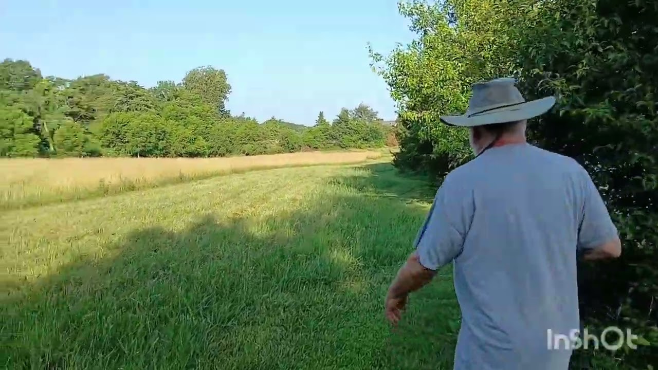 A full tour of the 7 acres.