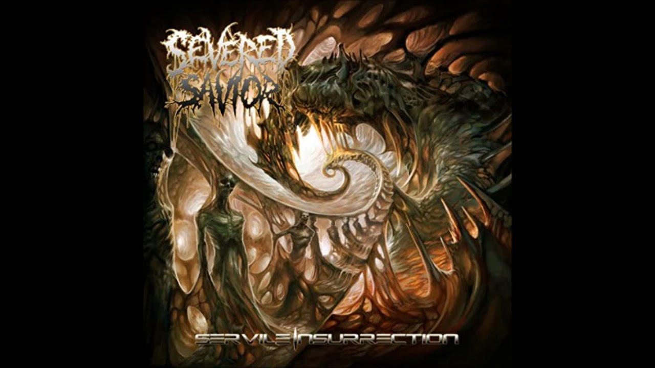 Severed Savior - Question