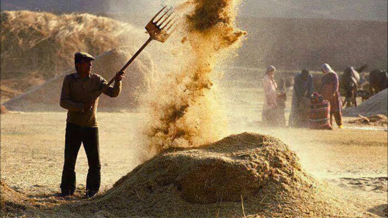 Bana Çayıralan'ı Anlat İkinci Bölüm