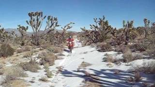 Cima Dome - Mojave Preserve
