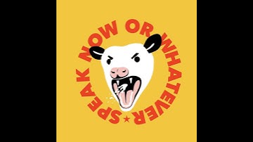 Vinnie Fiorello (Less Than Jake, The Punk Rock Museum)