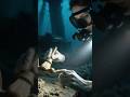 Isn’t story about war it’s about remembrance, resilience and the human cost hidden beneath the waves