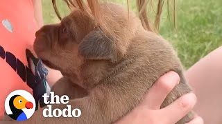 Tiny Puppy Grows Up Following Her Human Sister Everywhere | The Dodo Soulmates
