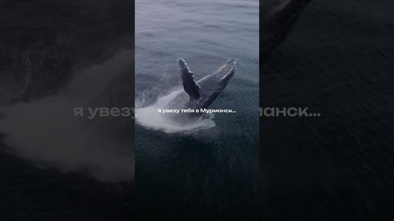 ТГ со всеми турами - @woutrip