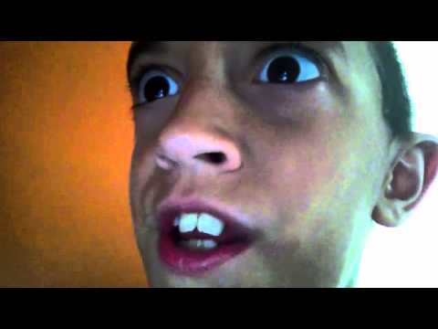 name an animal with 3 letters in it s name youtube