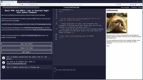 Link to External Pages with Anchor Elements Free Code Camp Org Basic HTML and HTML5