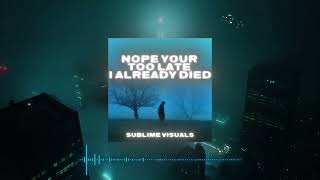 Nope your too late i already died - wifiskeleton (Slowed to PERFECTION) TikTok Remix