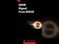 The Only Real "Alien" Message Ever Recorded? #shorts #wowsignal #astronomy #science