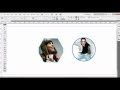 Adobe InDesign: Using the Frame Tools and Shape Tools with Images