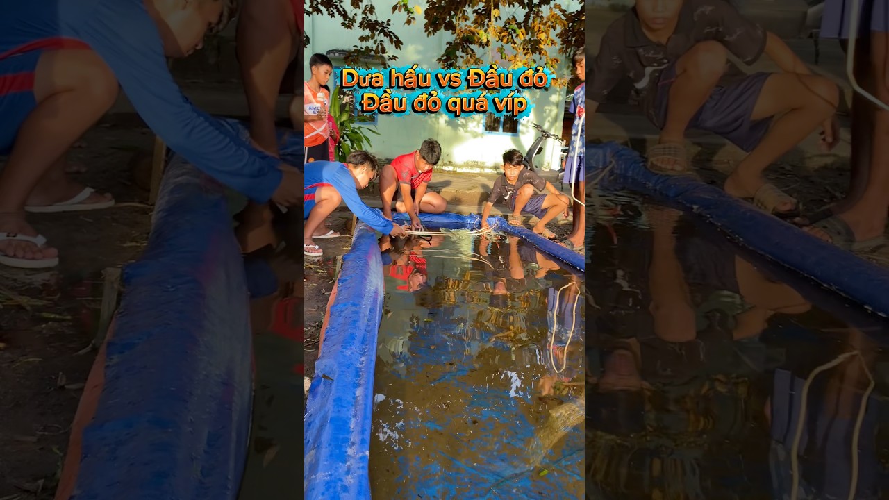 Tốc Độ Ghe Đầu Đỏ Quá vip !!!