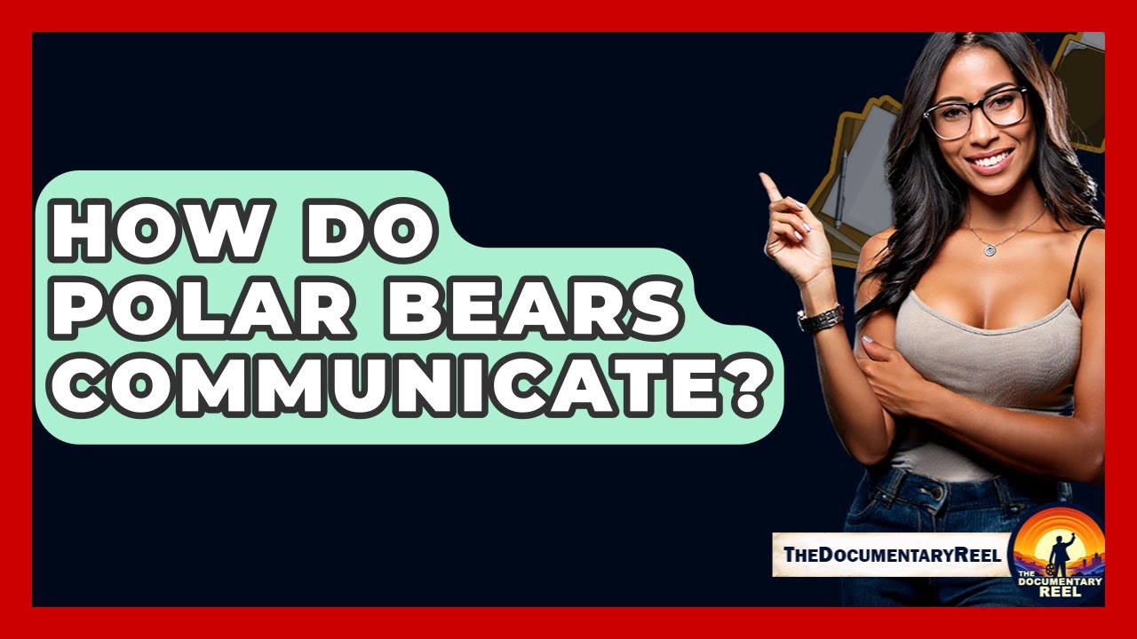How Do Polar Bears Communicate? - The Documentary Reel