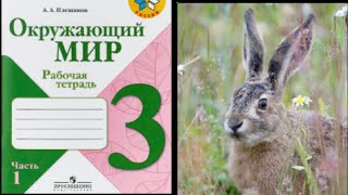 Окружающий мир 3 класс. проект \