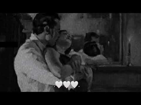 محمد عبد الجبار شمسين بطيء 