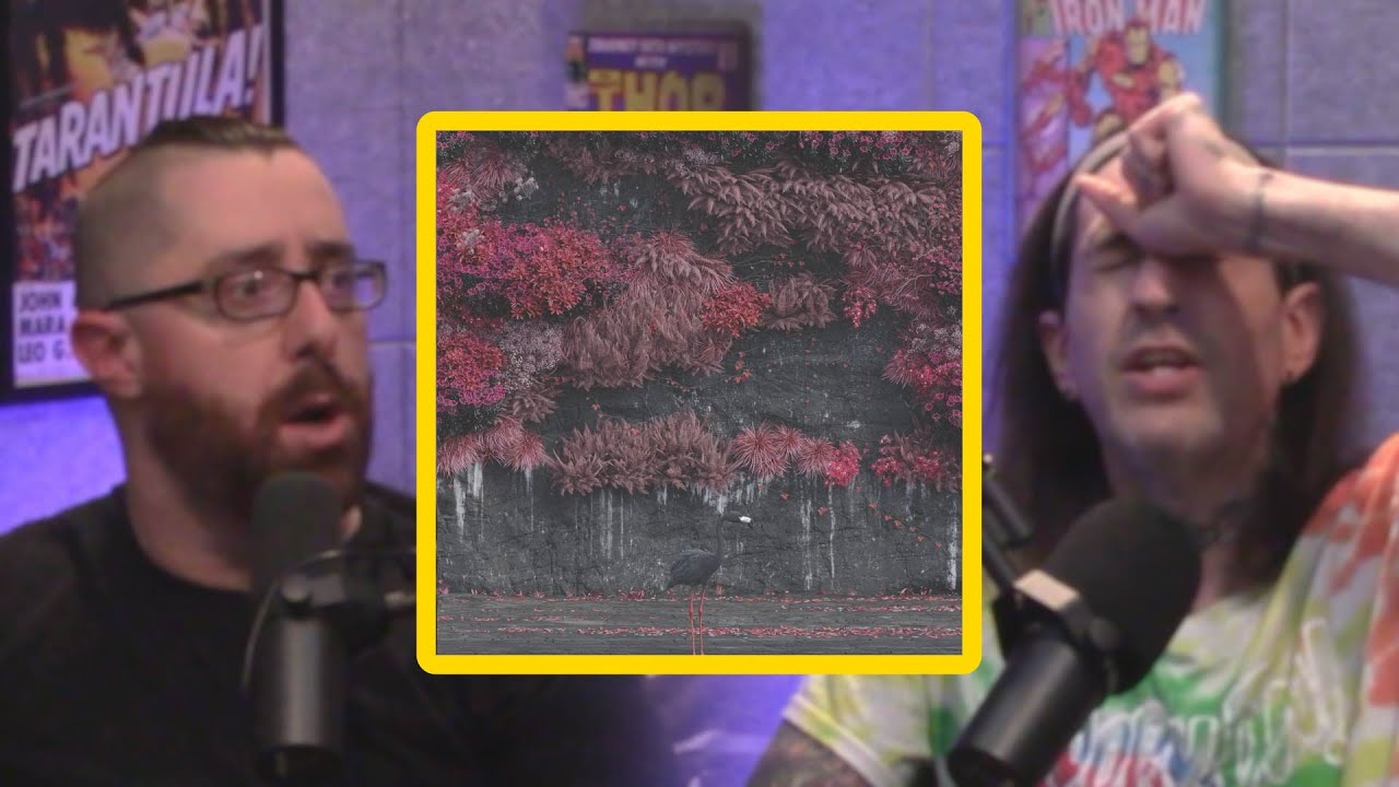 EVEN IN ARCADIA | OUR DEEP DIVE | PART 1