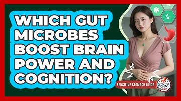 Which Gut Microbes Boost Brain Power And Cognition? - Sensitive Stomach Guide