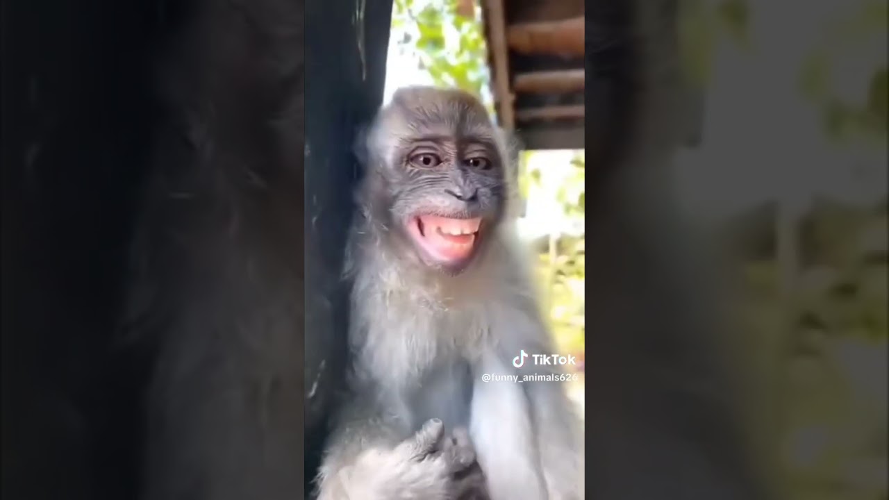 funny funny funny 😂😂😂#funny #funnyvideo #funnyshorts