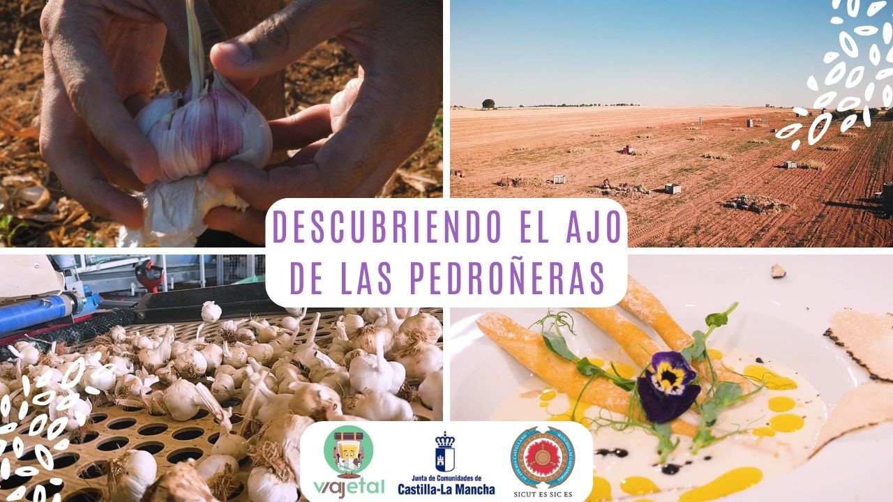 Descubriendo el ajo de las Pedroñeras