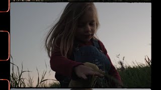 Growth - Short Film By Samuel Brunner - Fuji Xt3