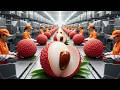 Inside a Lychee Processing Factory — From Fresh Fruit to Packed Export Boxes