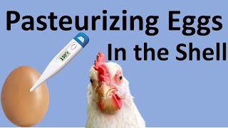 Pasteurizing Eggs in the Shell