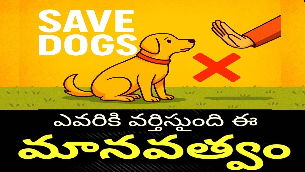 మానవత్వం | SAVE STREET DOGS | Voice of public