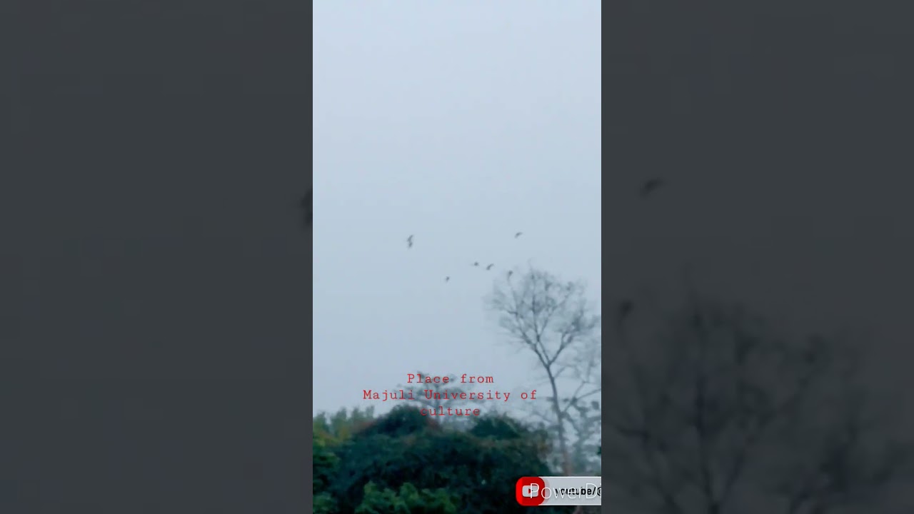 Maluli University of Culture from Majuli, Assam