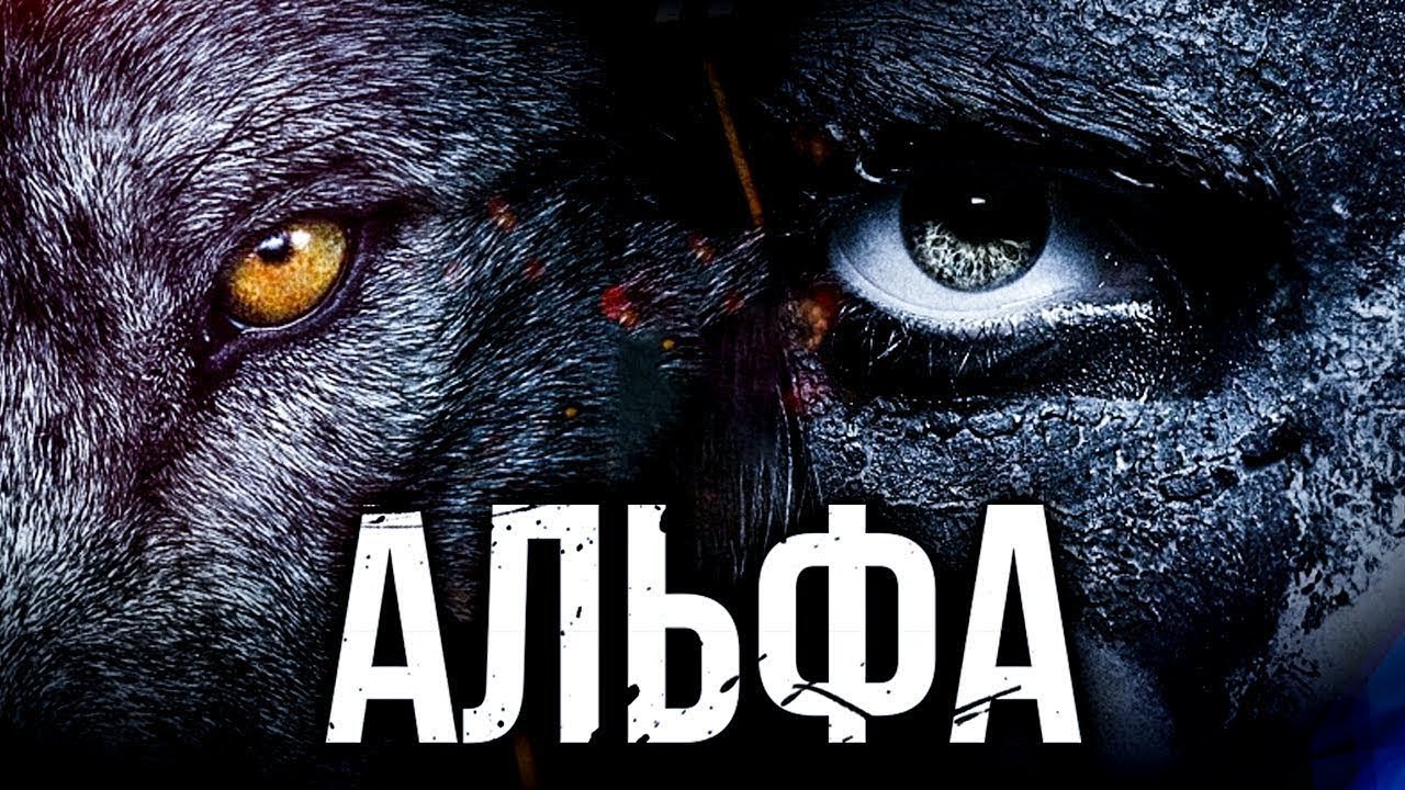 Альфа лайт каско
