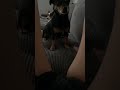 #dancehall #remix #music #puppy #dog #funny #cute #lynette #dogshorts