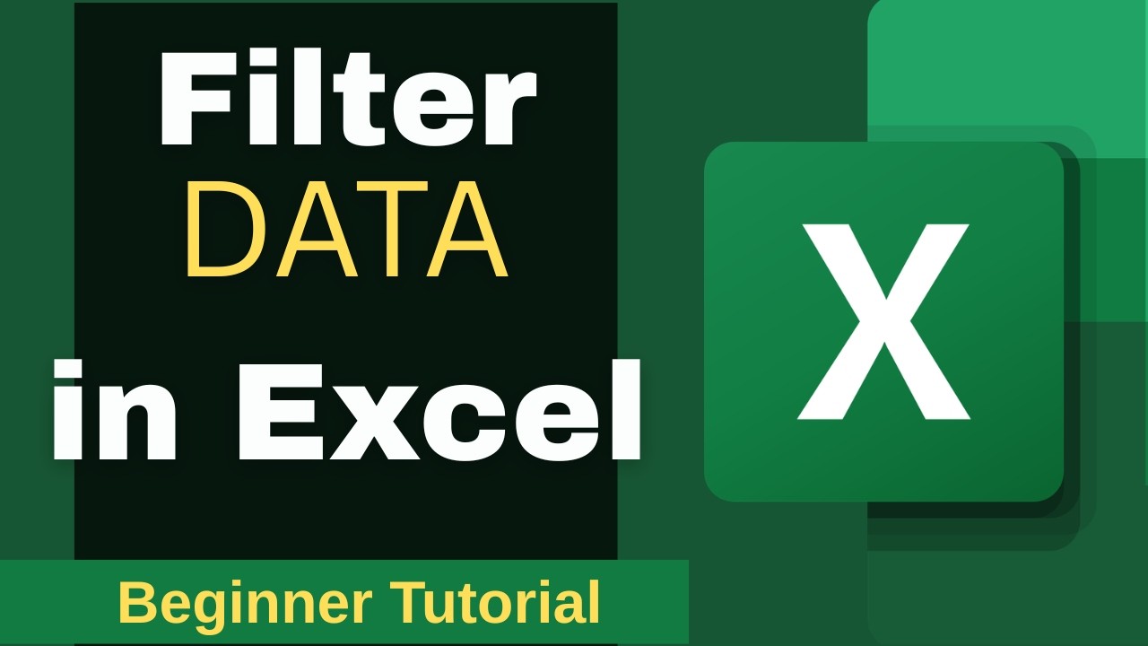 How to Filter Data in Excel Beginner Tutorial - YouTube