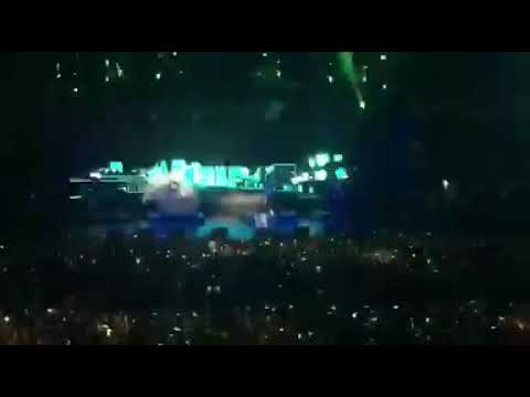 Nacho el gorila estába el concierto de Nickijam