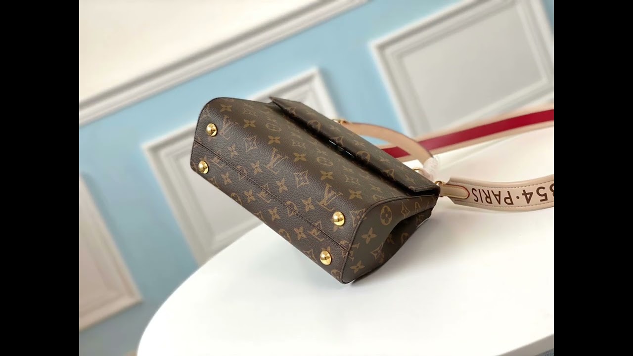 Hermes Kelly Alternative: Louis Vuitton Cluny BB Review and What Fits 