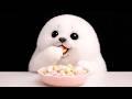 Baby Seal Arale Eats Japanese Rice Crackers 🦭❄【ASMR】 #mukbang #arare