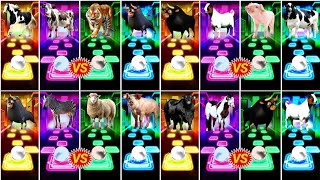 Funny Horses 🆚 Ferdinand 🆚 Ferdinand 🆚 Funny Cow.Coffin Dance Song🎼Tiles Hop🔥🔥