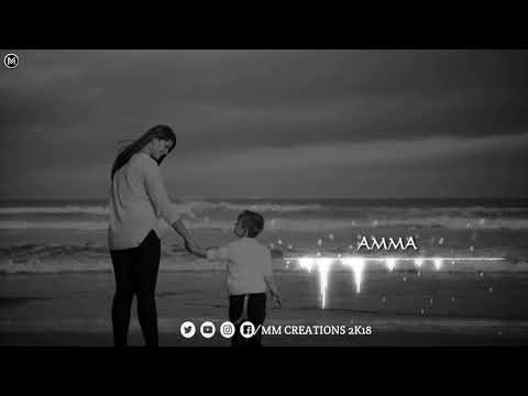 amma-tamil-song-status/kalli-kaatil-pirantha-thaye-song-status