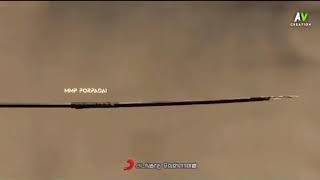 Whatsapp Status Tamil