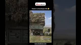 Tester vs Developer Life – The Eternal Bug Battle! 🐞😂