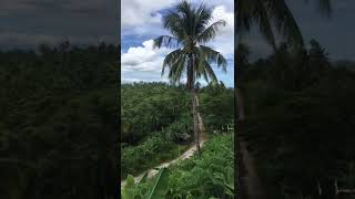 Hill Fog Nature Park @ Sta. Margarita Western Samar