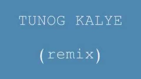 TUNOG KALYE (remix)
