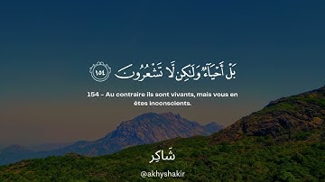 Sourate Al-Baqarah (153-157) | Tareq Mohammed سورة البقرة طارق محمد