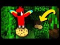 ✔ Minecraft: 10 Things You Didn't Know About Parrots