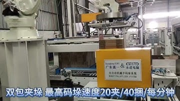 SUNYI Robot Palletizer Systerm: Going to be inline Mitsubishi FFG