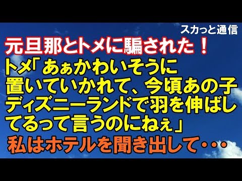 ｢スカッとする話｣元旦那とトメに騙された！トメ「あぁかわいそうに 置いていかれて、今頃あの子ディズニーランドで羽を伸ばしてるって 言うのにねぇ」私はホテルを聞き出して元旦那の元へ！｢スカッと通信｣