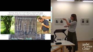 Lunchtime Colloquium: Anna Varga