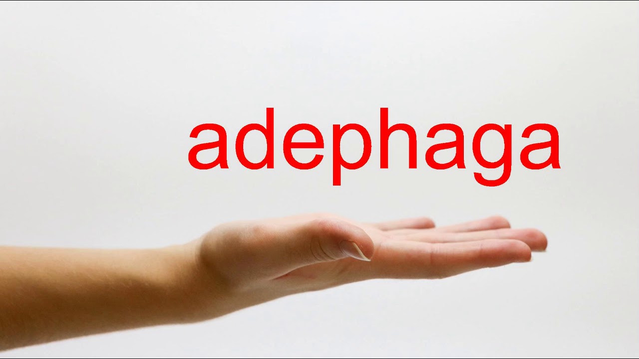 How to Pronounce adephaga - American English