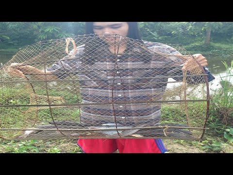 Wow !!! Beautiful Girl Catches Fishes,  Amazing Trap Fishing,  Cambodia Traditional Fishing Fish