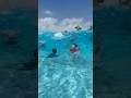 Disney S Typhoon Lagoon Wave Pool POV Tidal Wave